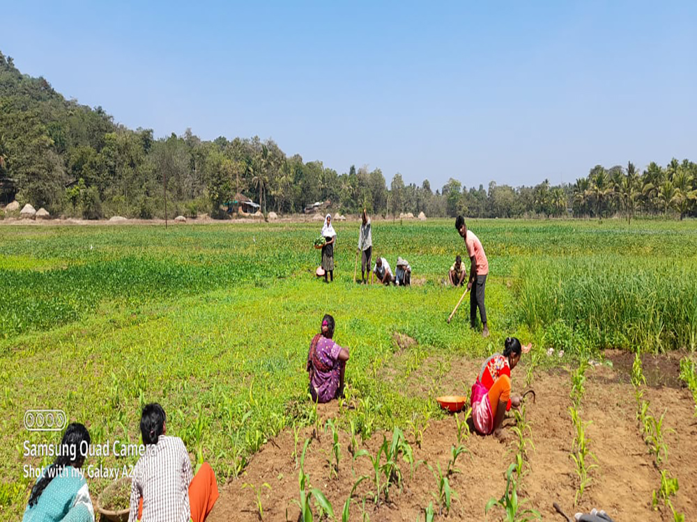 On-field Destitute Support
