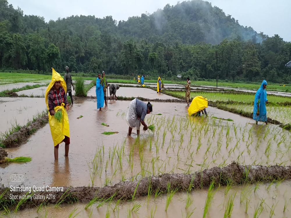 On-field Destitute Support